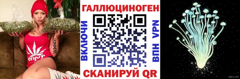 Галлюциногенные грибы Cubensis Сасово