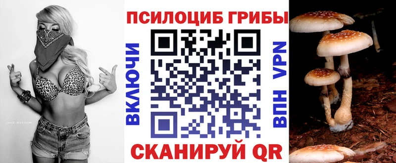 Галлюциногенные грибы Cubensis  купить наркотик  Сасово 